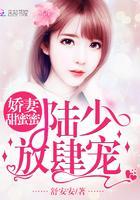 娇妻甜蜜蜜:陆少,放肆宠